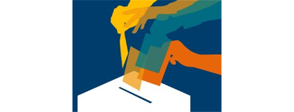 Area Director Election